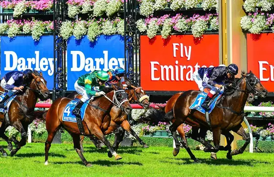 Flexi Betting Maths for Trifectas and First Fours